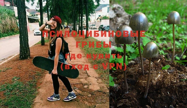 гашиш Сосновый Бор