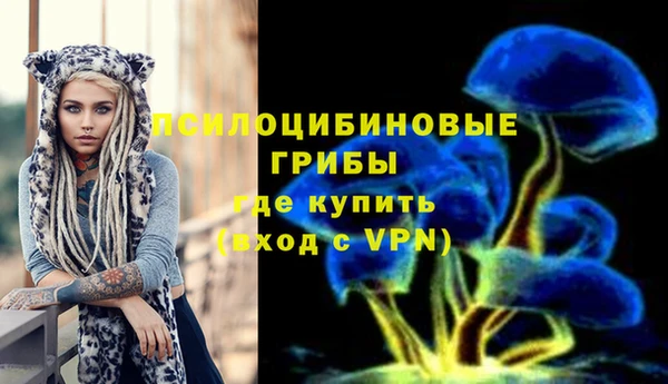 крисы Сосновка