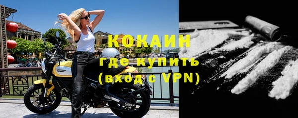крисы Сосновка